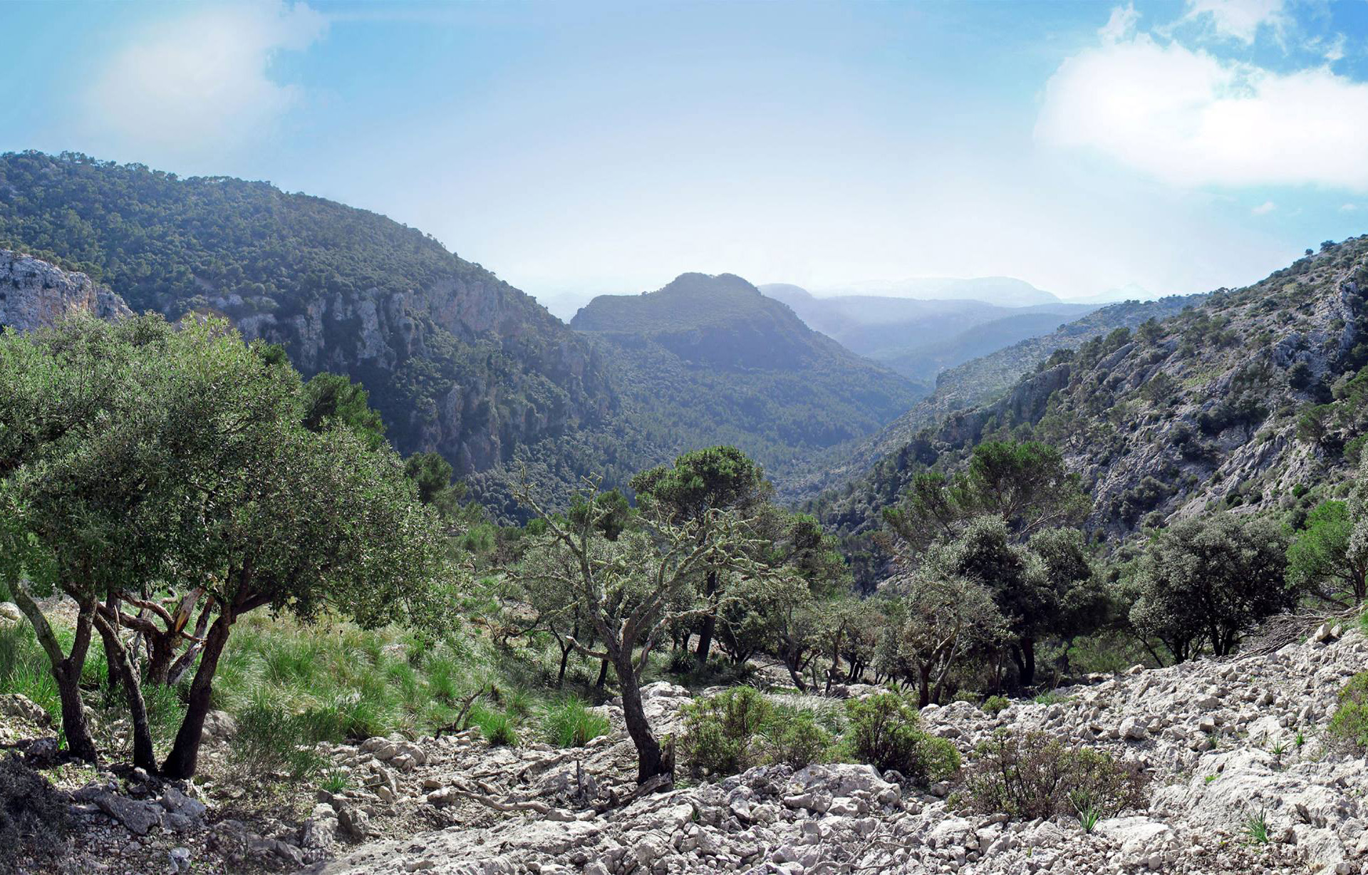 Deia mountains